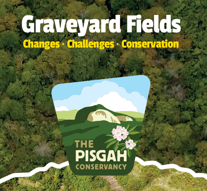 pisgah.png
