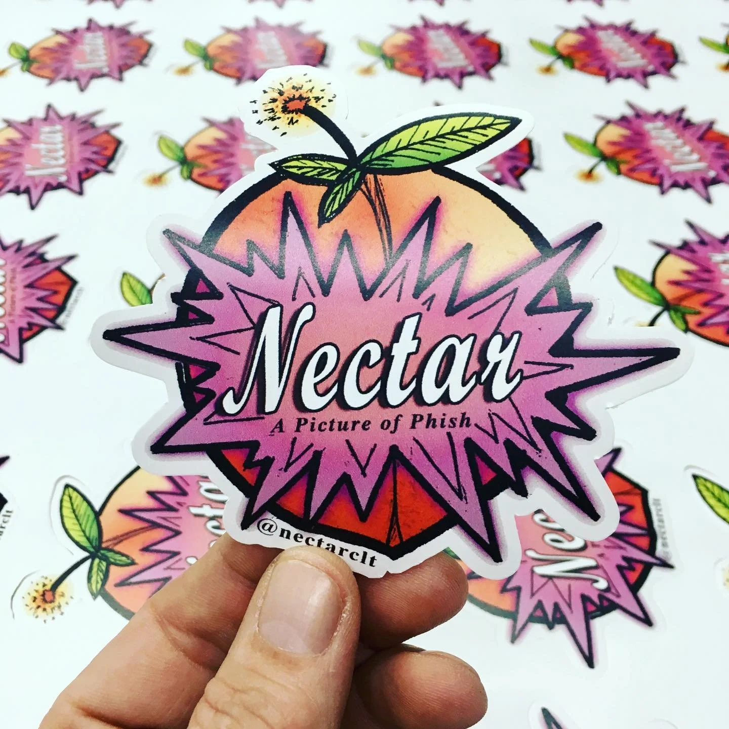 Nectar A Picture of Phish