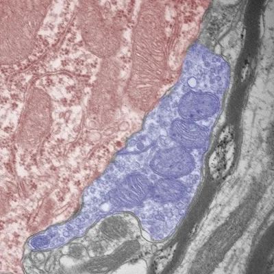 Our research was recently featured on NSF’s Science360