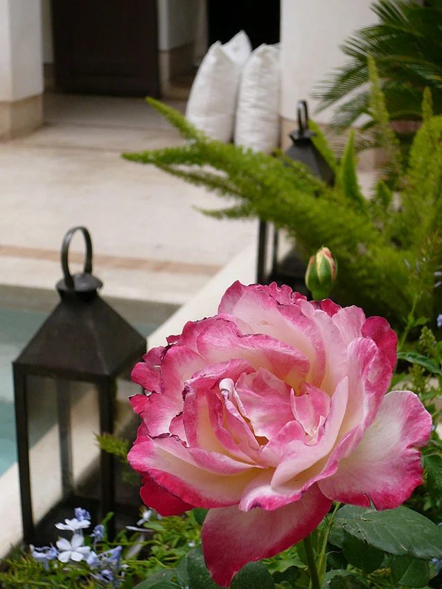 Marrakech_Maroc_Marocco_Atelier_Jardins_Christian_Préaud_06