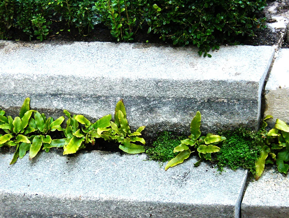 Paris_France_Atelier_Jardins_Christian_Préaud_05