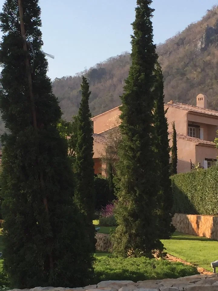 Provence_Khao_Yaï_Thaïlande_Thaïland_Atelier_Jardins_Christian_Préaud_15