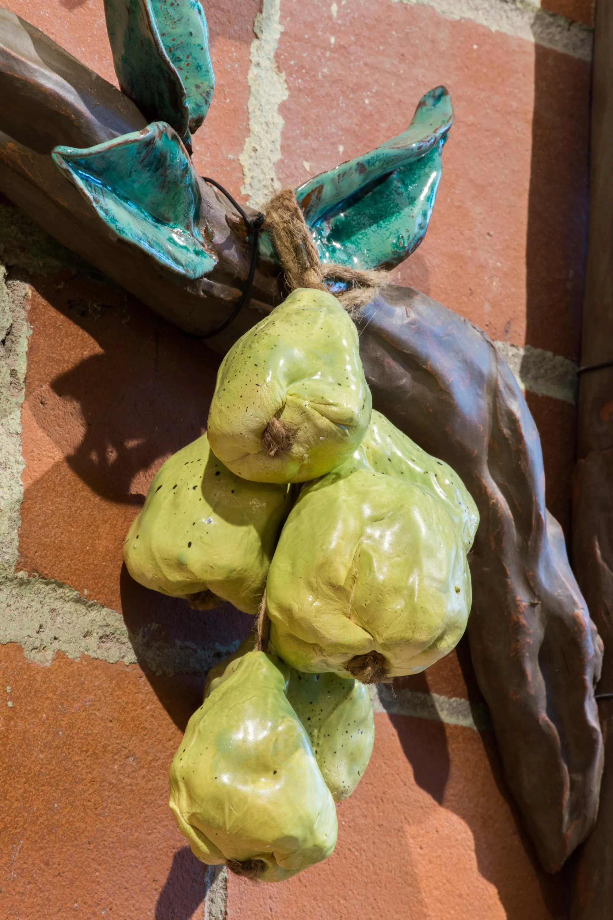 Espalier (4 of 37).jpg