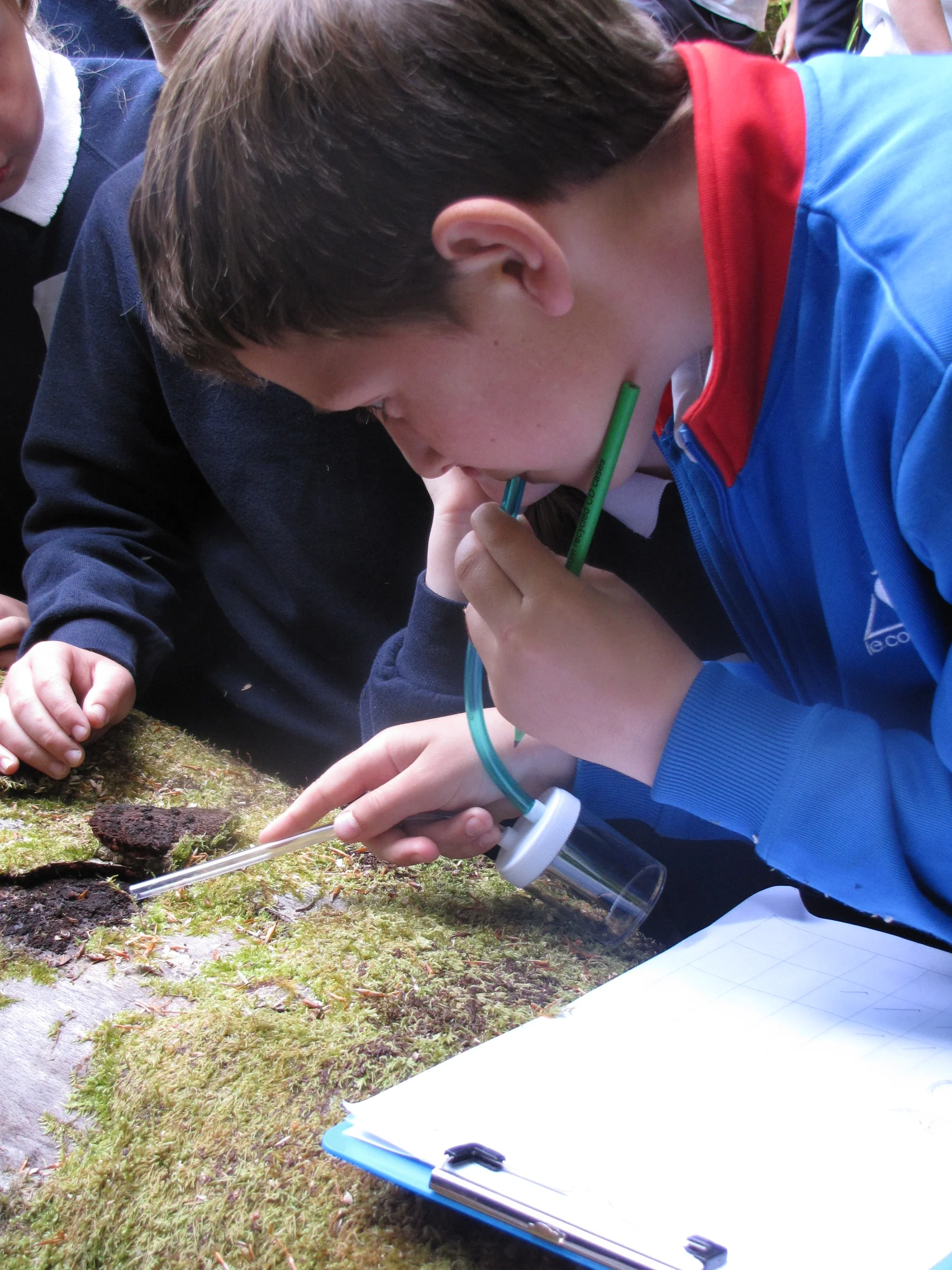 Eco-Schools Ireland
