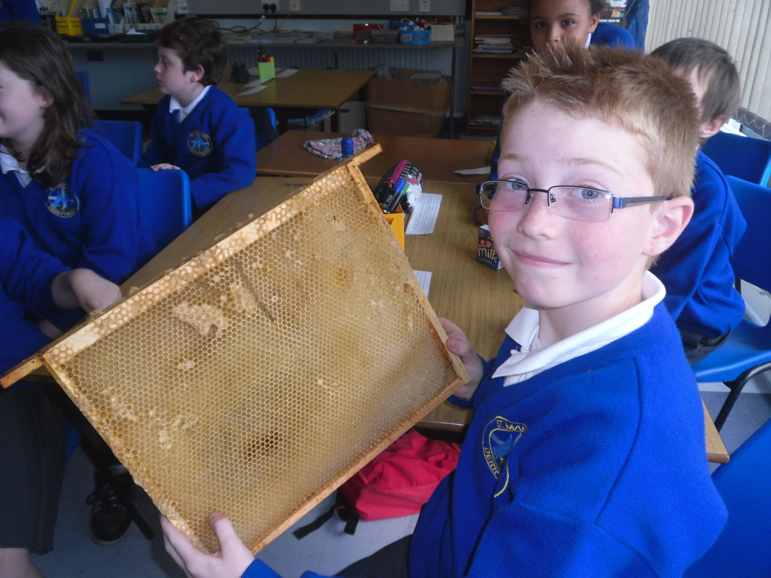 Busy as a Bee Learning about Bee's.jpg