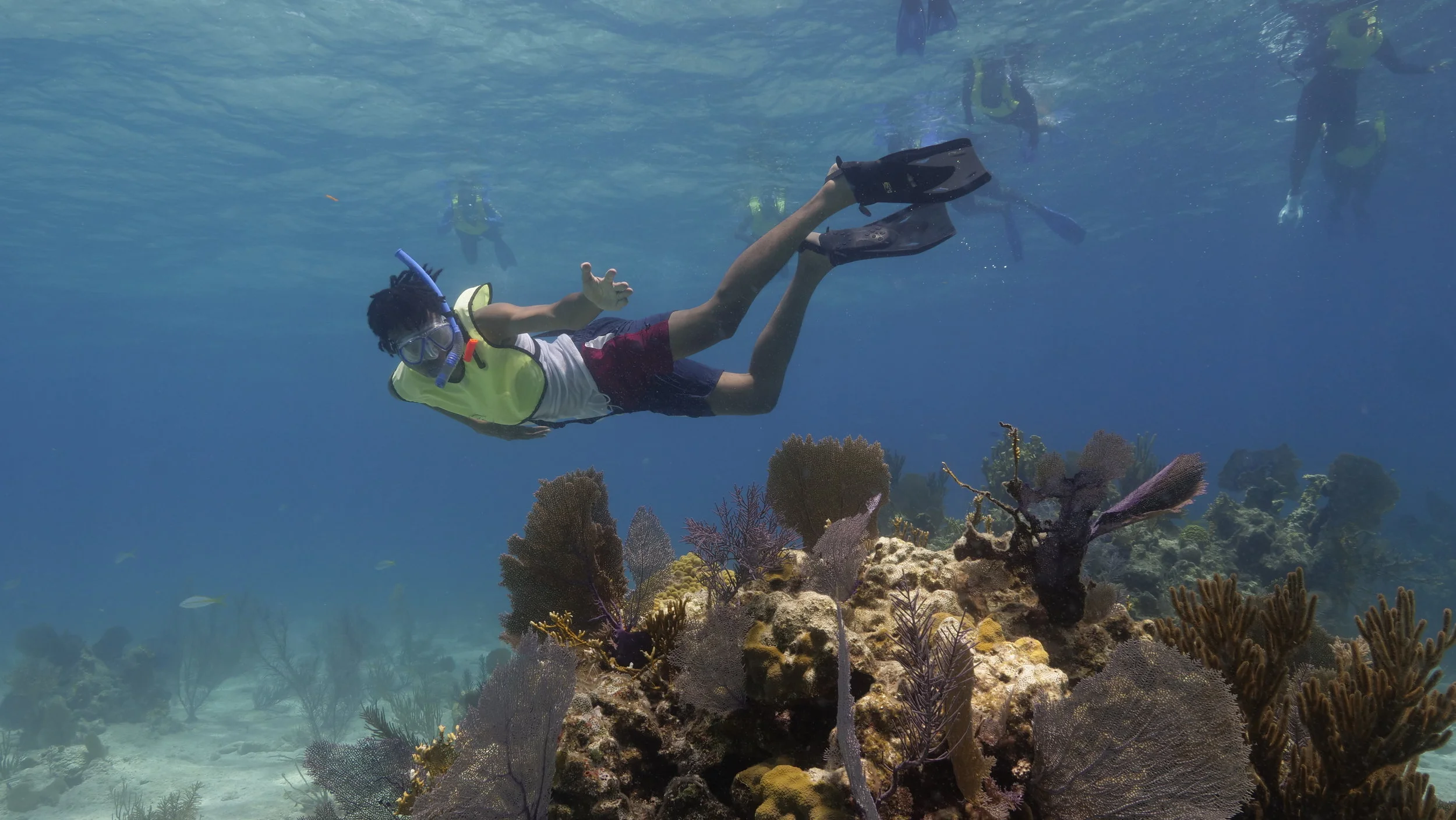 Snorkel-With-Coral.jpg