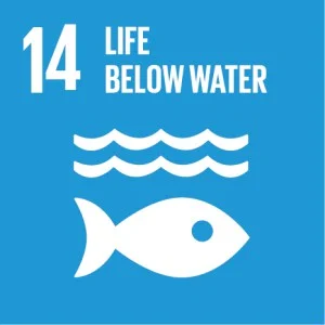 Marine litter and the exploitation of the oceans are two of the most urgent matters of the twenty-first century, which is why one of Eco- Schools Themes is especially based on marine and coastal environments. Students learn about the sources of marine litter and its negative effects on the marine flora and fauna. Furthermore, the importance of using the oceans’ resources responsibly is communicated to the students.