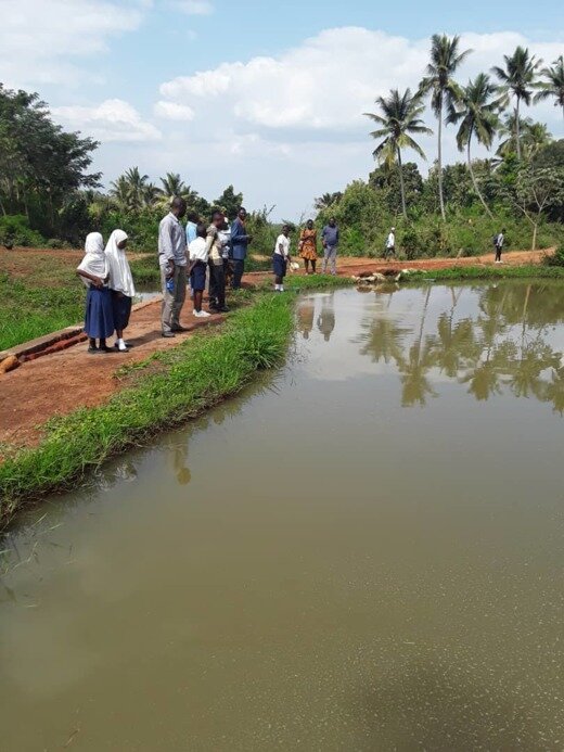 Digalama fish pond.jpg