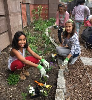 Schoolyard+Habitat_GardenClub+USA,+credit+Tina+Wong.jpg