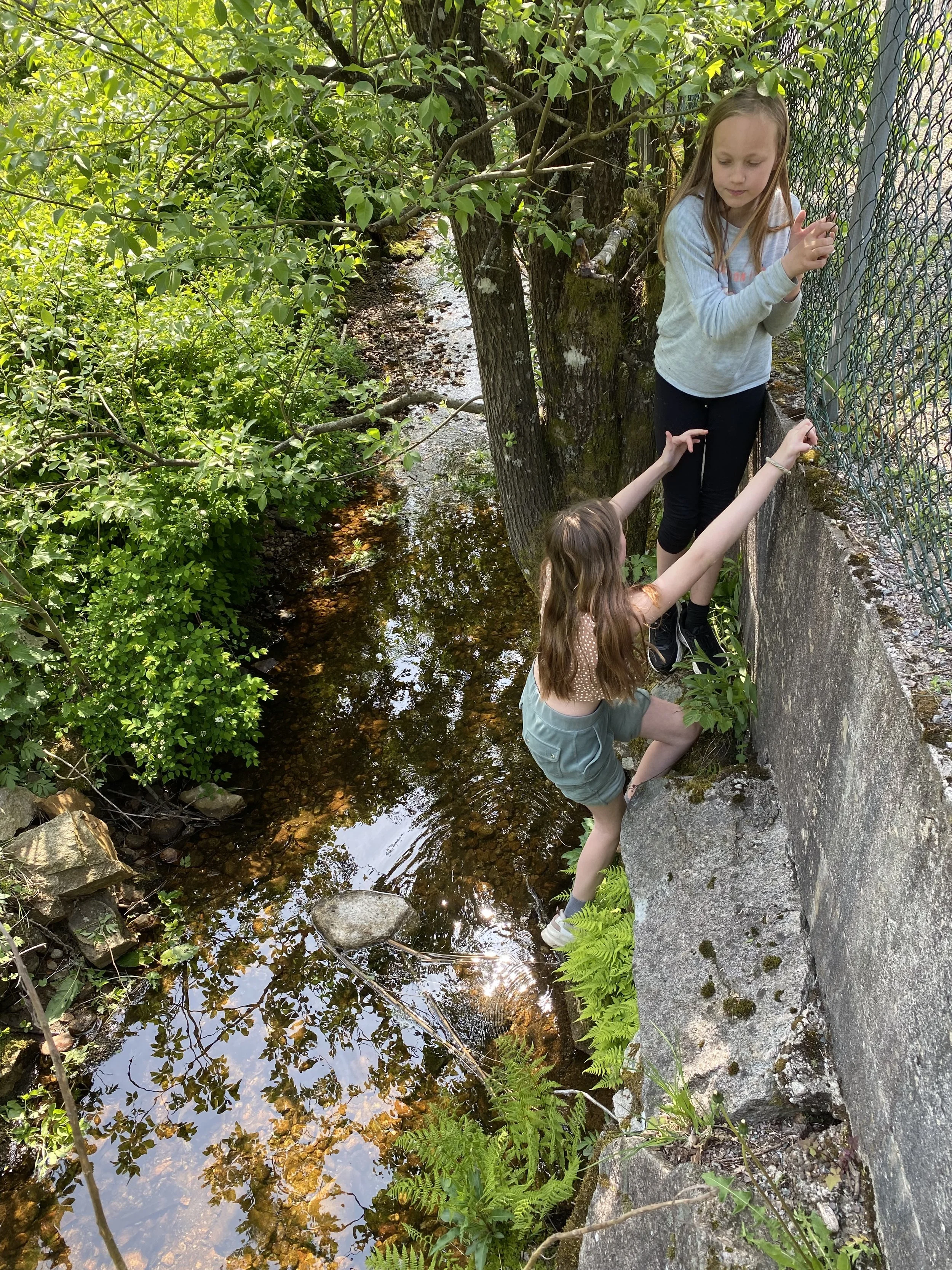 Learning about Biodiversity in the Local Stream- Eco-Schools