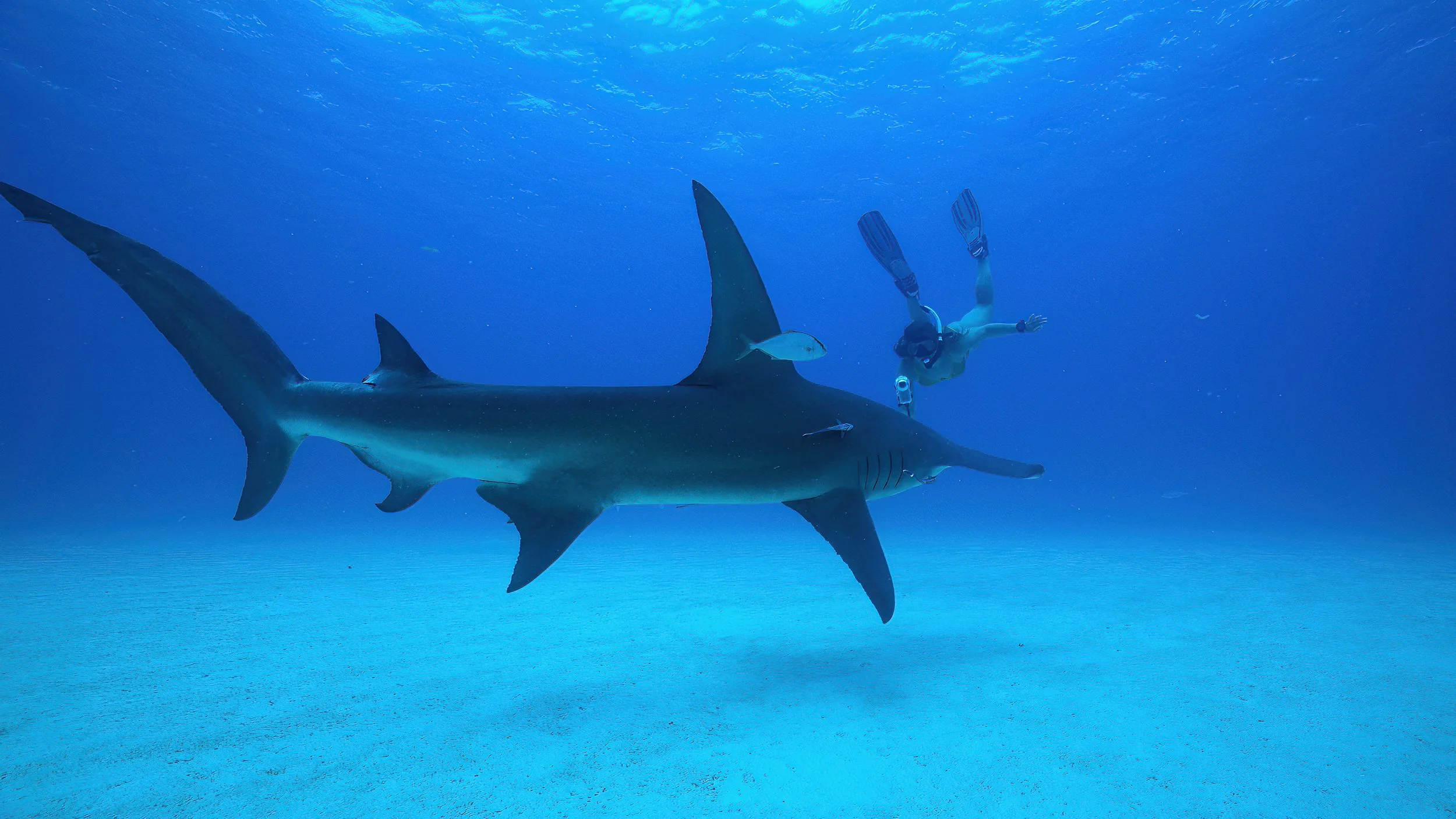 2025_Eco-SchoolsAlumni_SarahRoberts (3).jpg