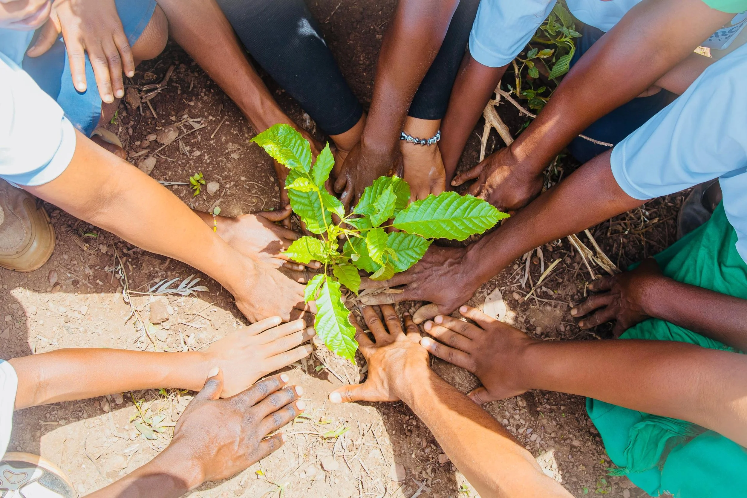 2025_EcoSchools_Rwanda_TreePlanting (2).jpg