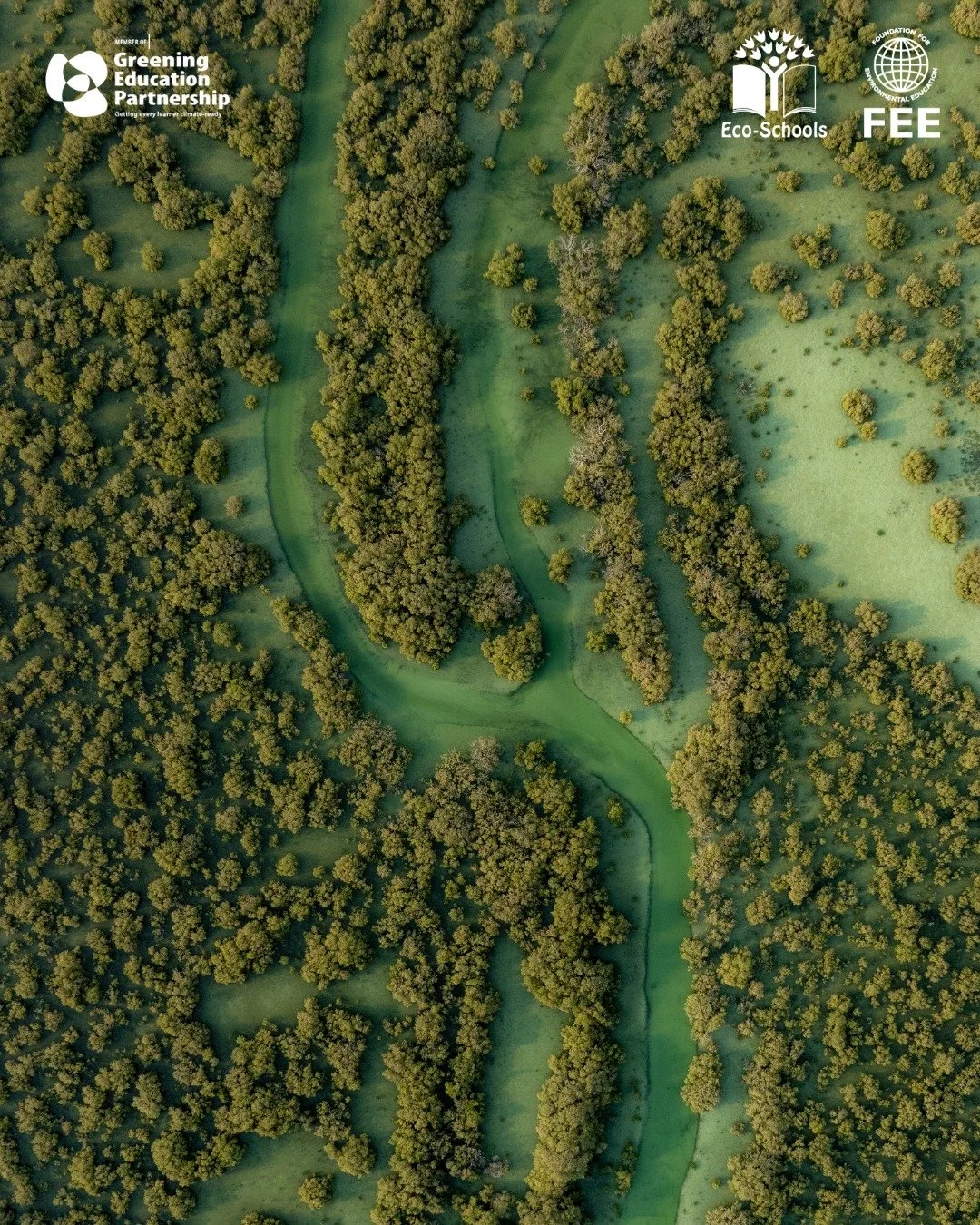 @earthna.qa has developed high-quality educational resources focused on mangrove protection, marine ecosystems, and biodiversity. These lesson plans, quizzes and videos support meaningful, real-world learning linked to environmental education and sus