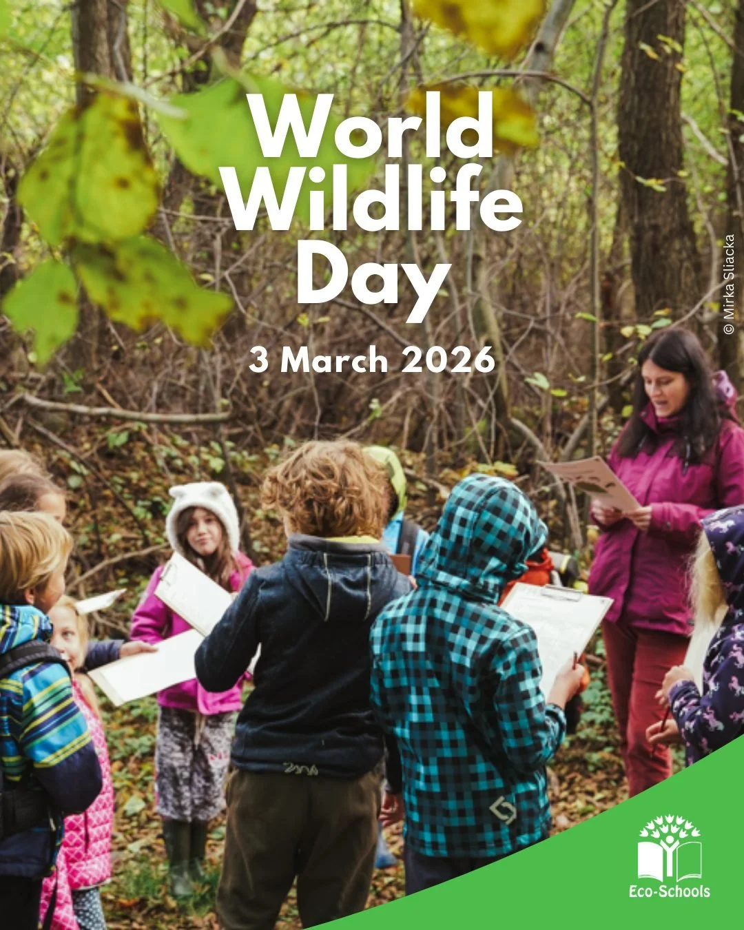Happy World Wildlife Day 🌱🦋

Teaching young people about ecosystems, forests, wildlife, and nature is one of the most powerful tool we have in order to protect our planet&rsquo;s future. 🦌

Being aware of what and who surround them, and all the wa