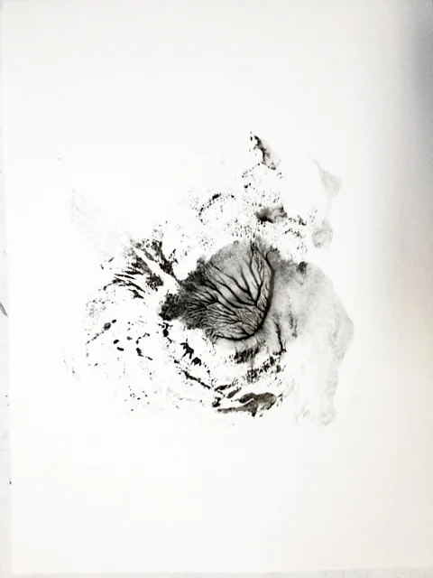 Image 1 - Version 2.jpg