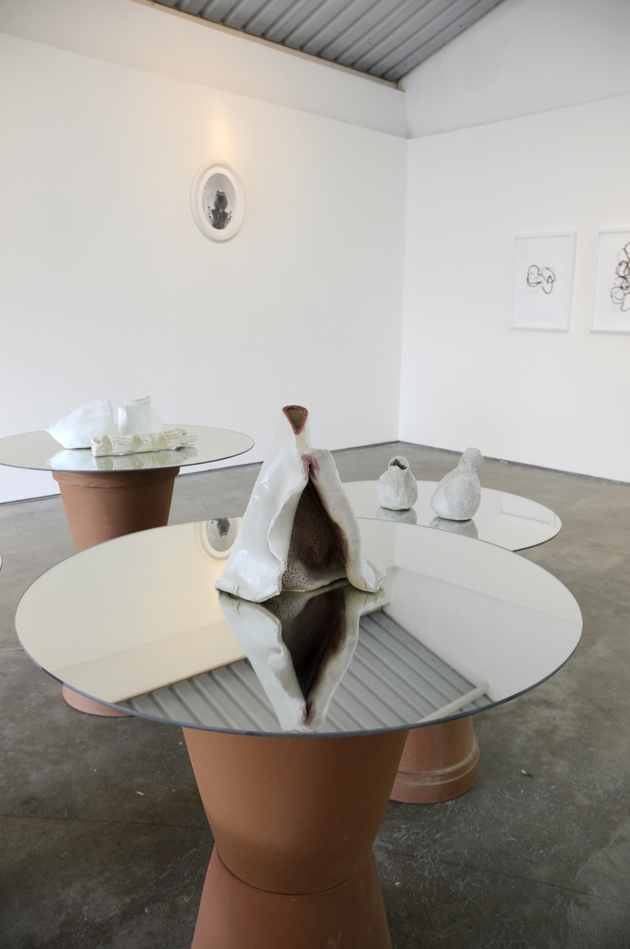  Installation view at the Orchis exhibition, Galería Fernando Zubillaga Centro de Arte Los Galpones, (Caracas) 