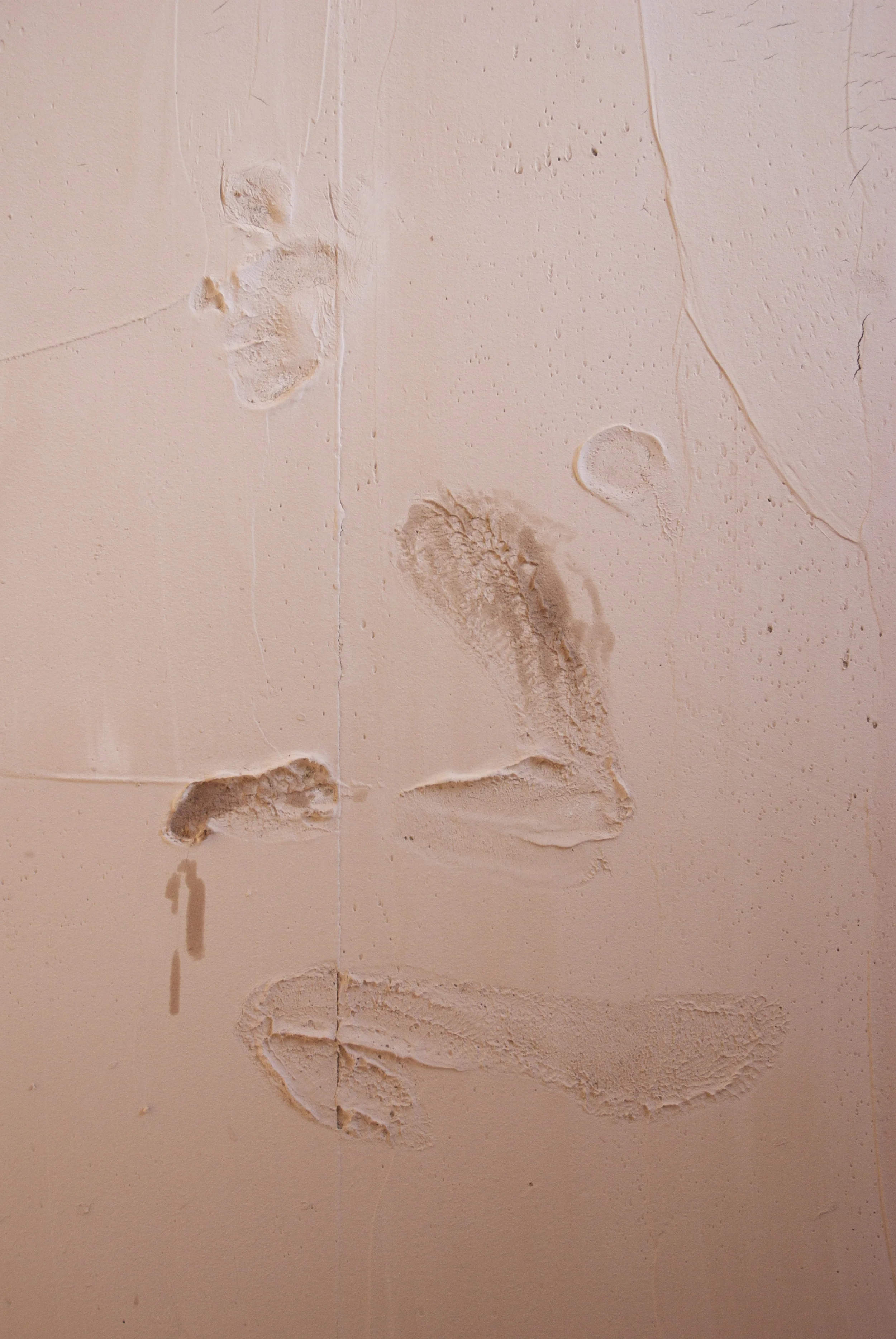 DSC_0217_2.jpg