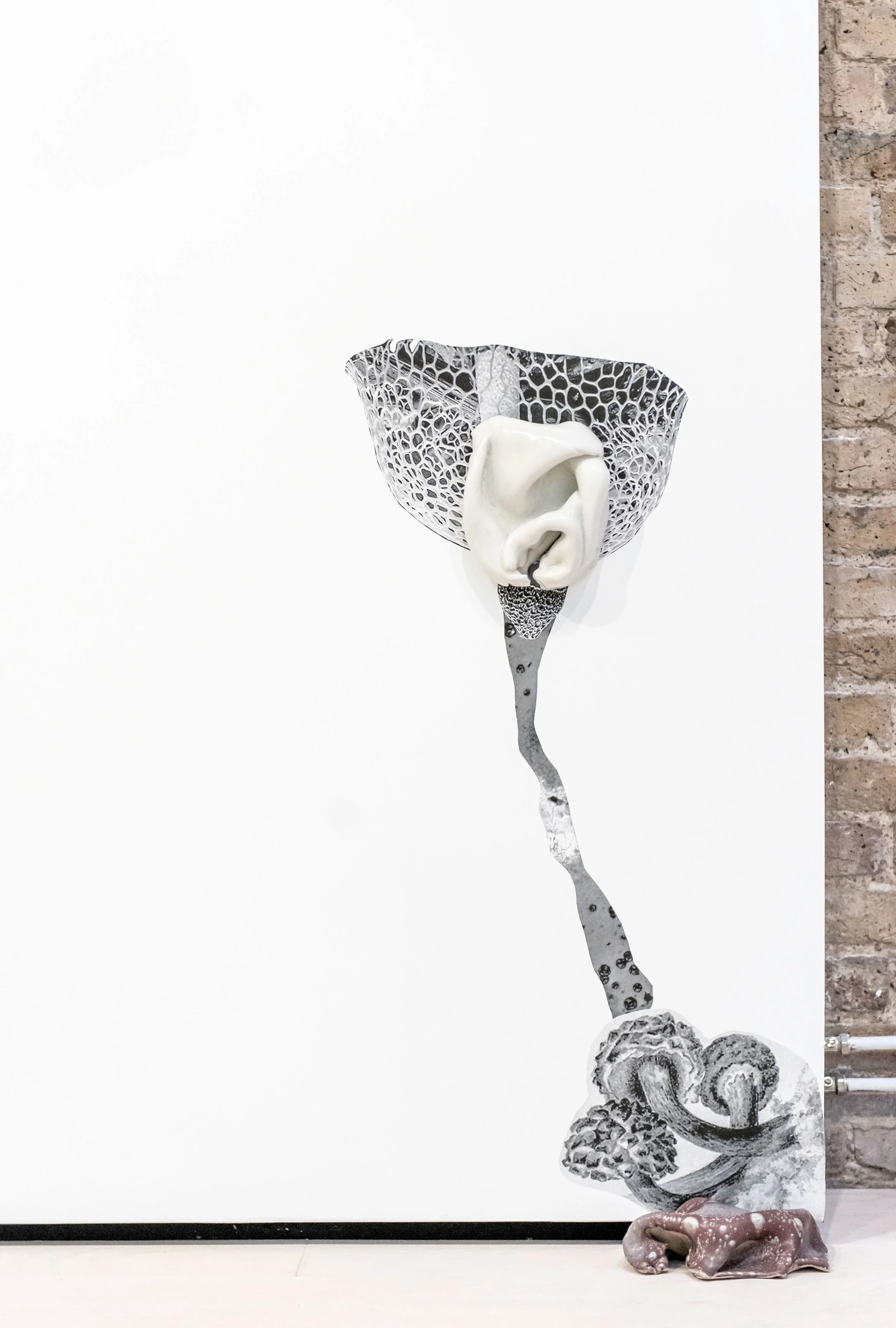 "A Garden for Beatrix" (2015) Detail Stoneware and glazings sculptures and pigment ikn prints