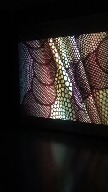 IMG 7.jpg