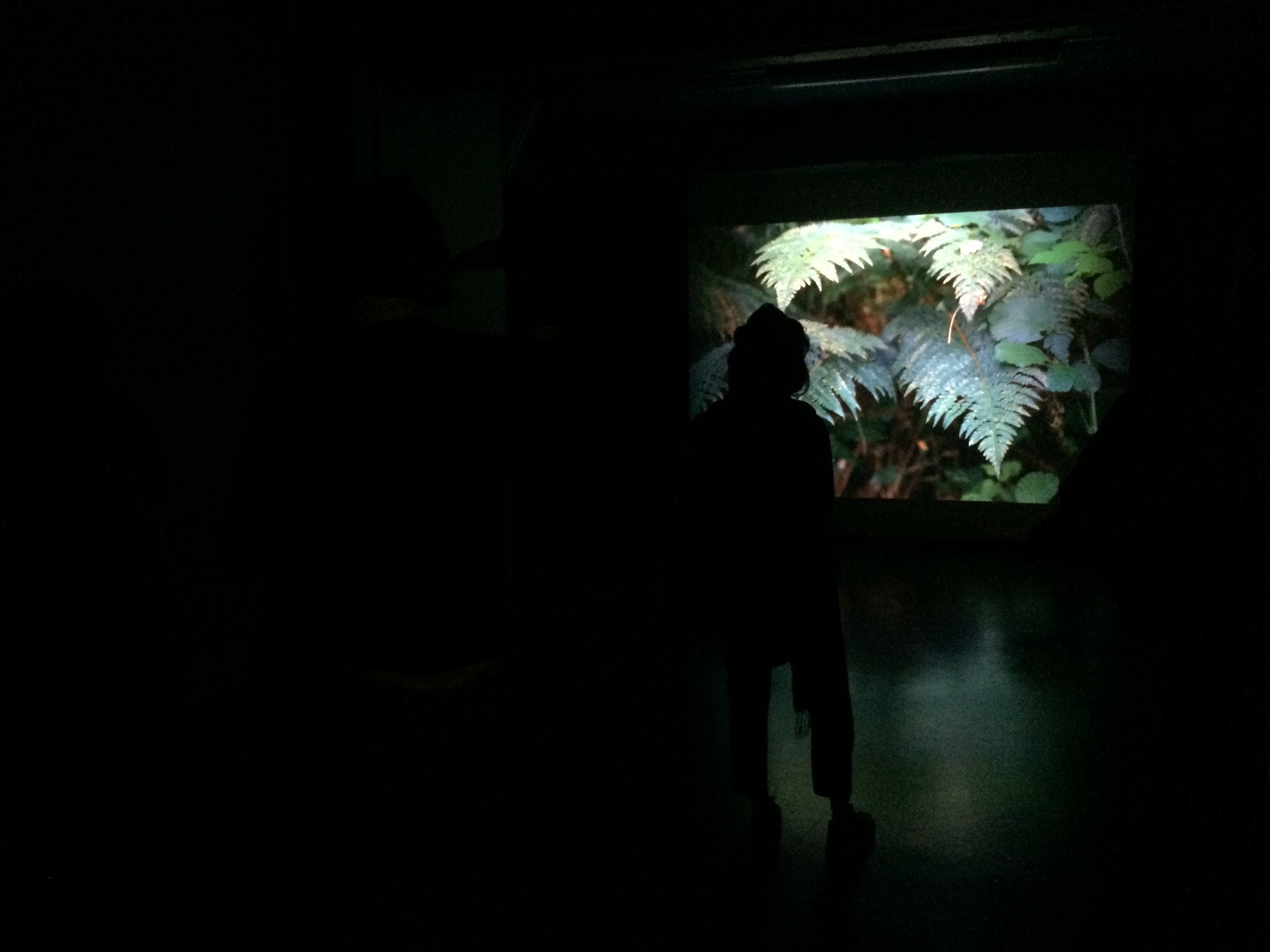 "You can only understand from a distance" Video programme by TRIAD London