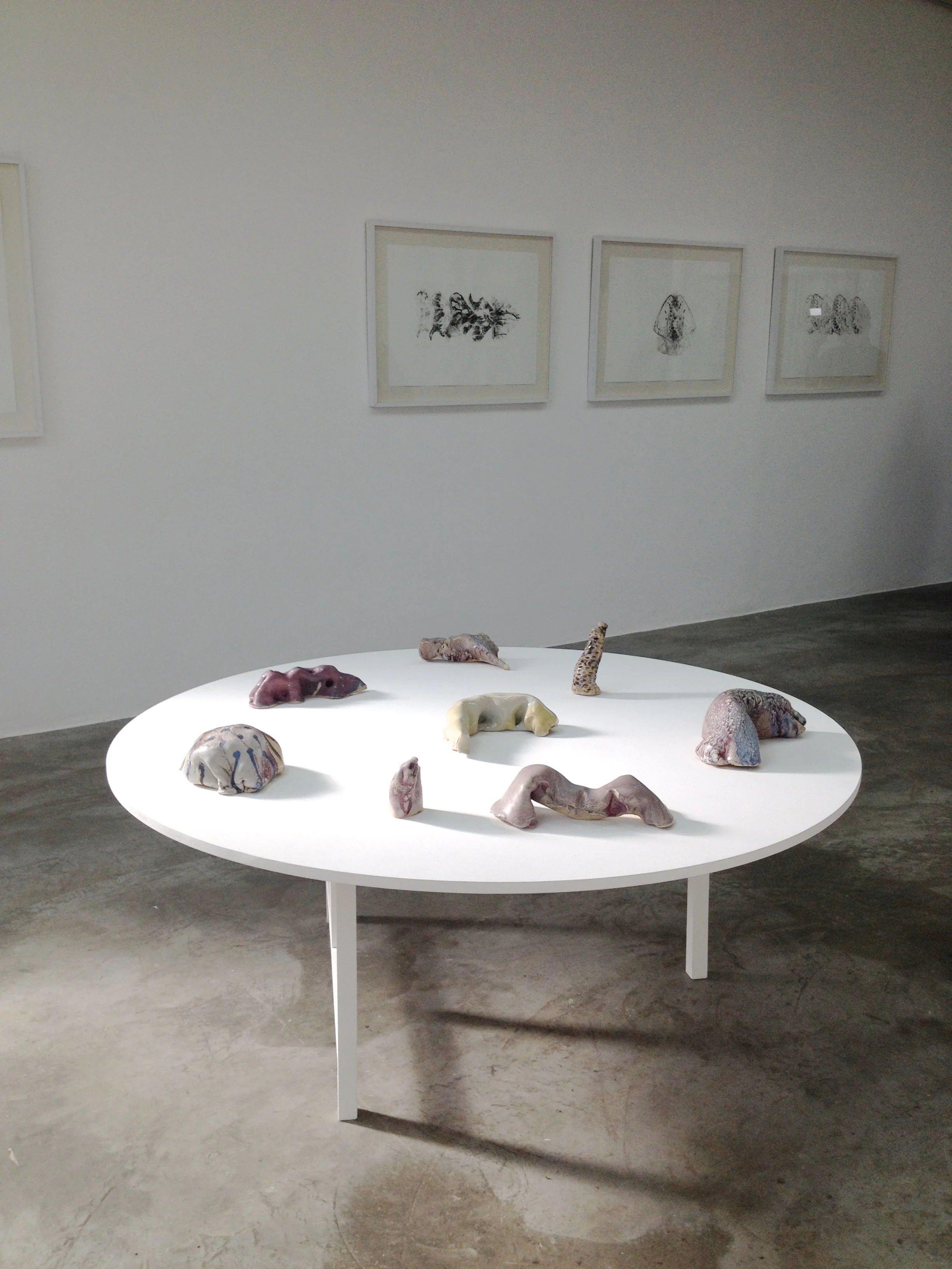 Solo Exhibition at Oficina#1, Caracas (2013)