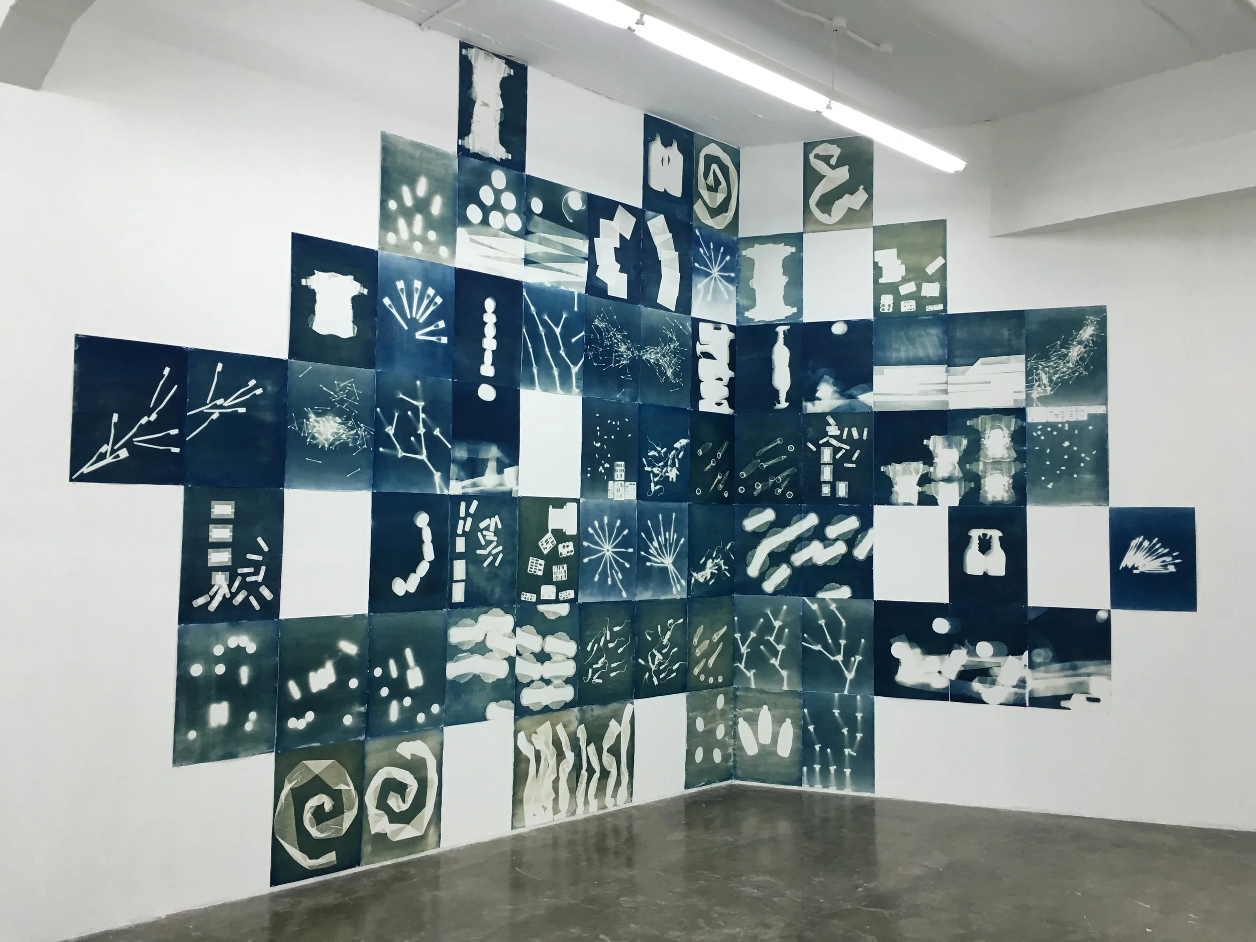 Inventario Personal (2016) Espacio Monitor, Centro de Arte Los Galpones. Instalación de 68 Cianotipos realizados en papel de algodón. 58x44 cm cada uno en pared de 8 metros longitudinales por 4 metros de altura.