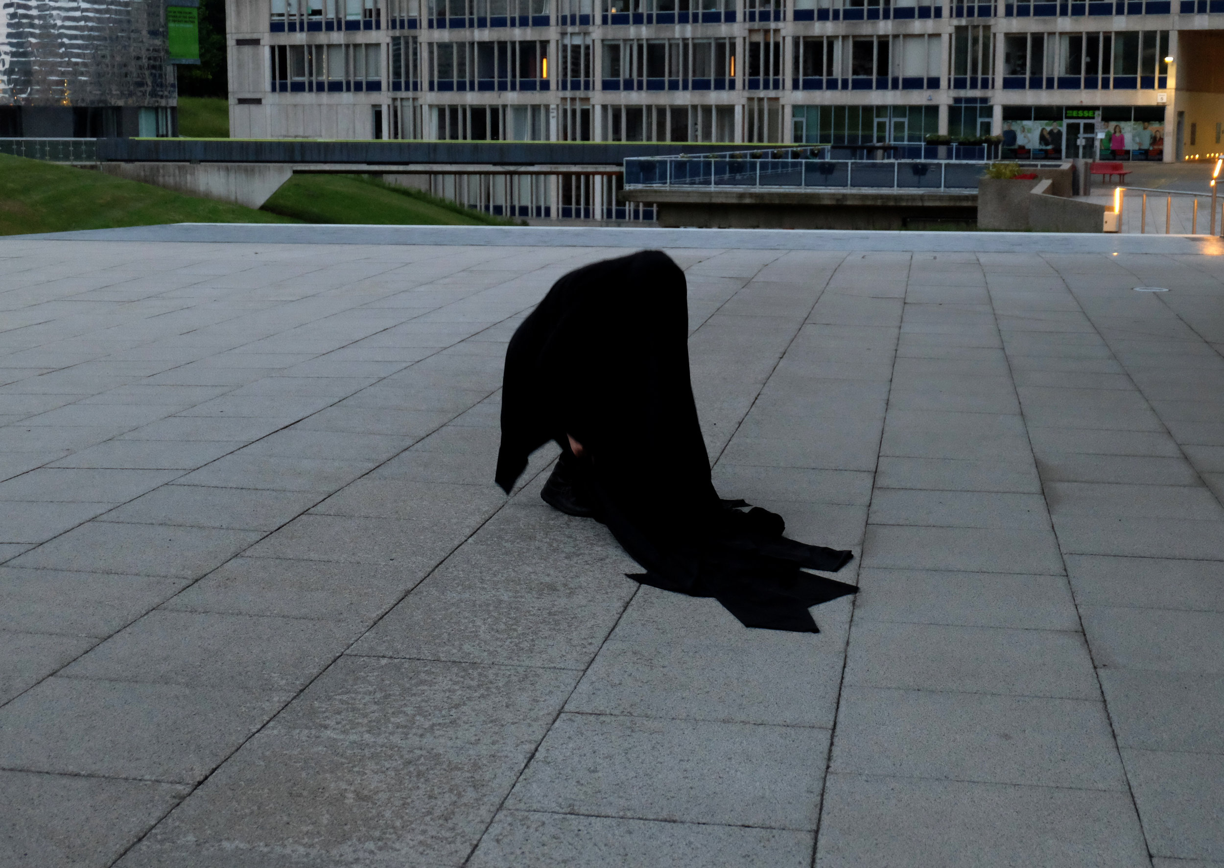 performance noche.jpg