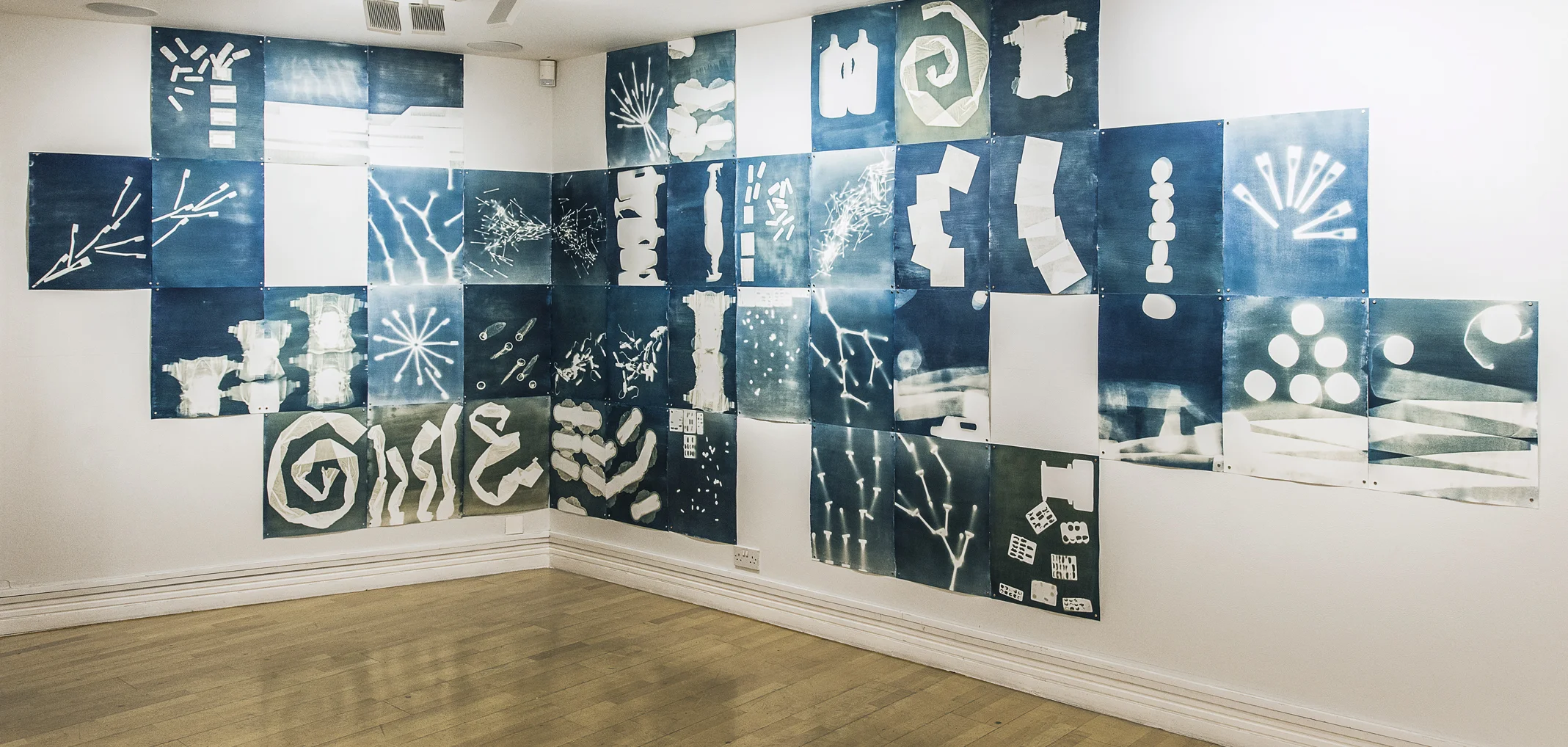 Inventario personal, cyanotype mural. Lucia Pizzani