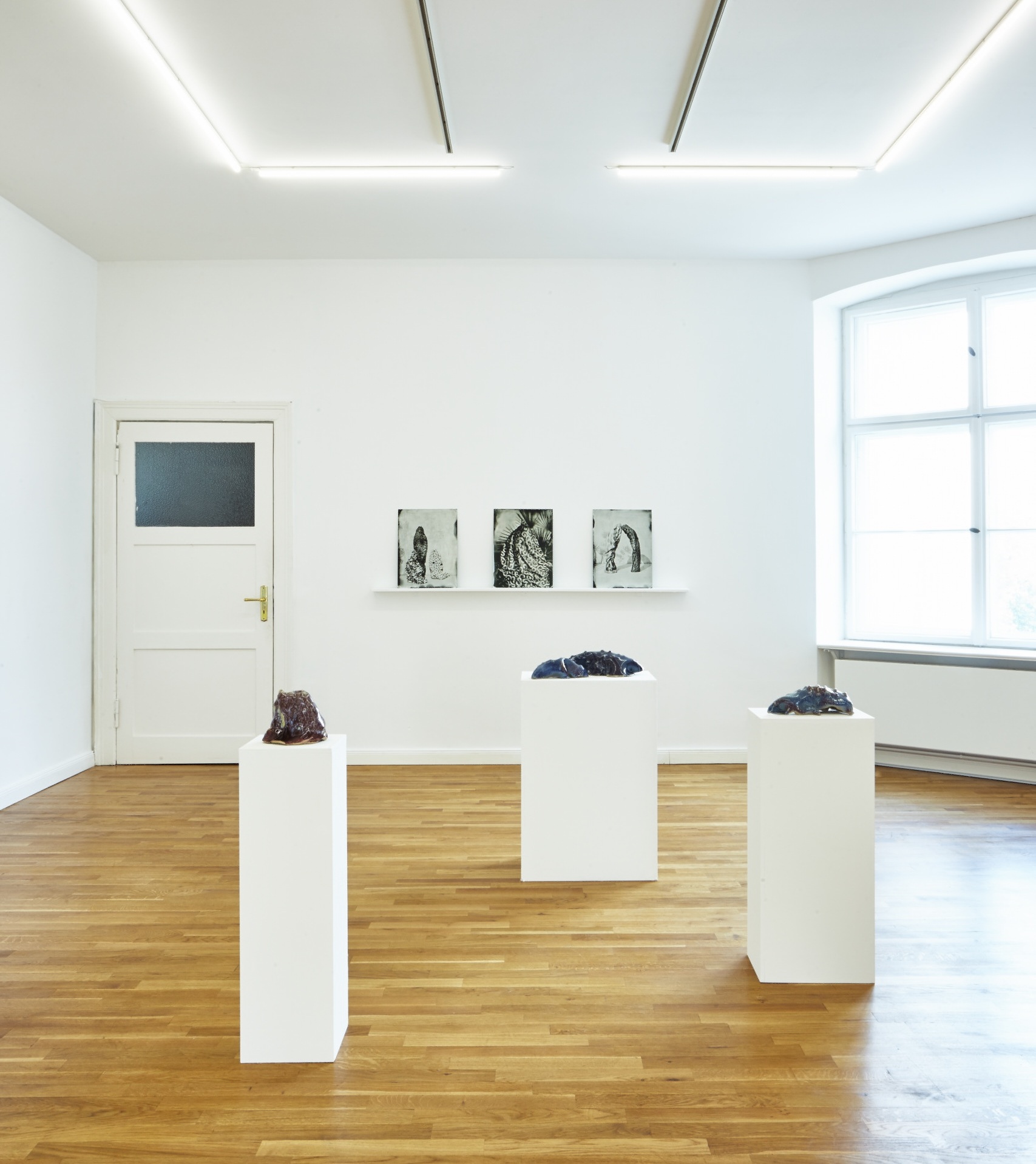 Installation view. Photo by Joseph Devitt