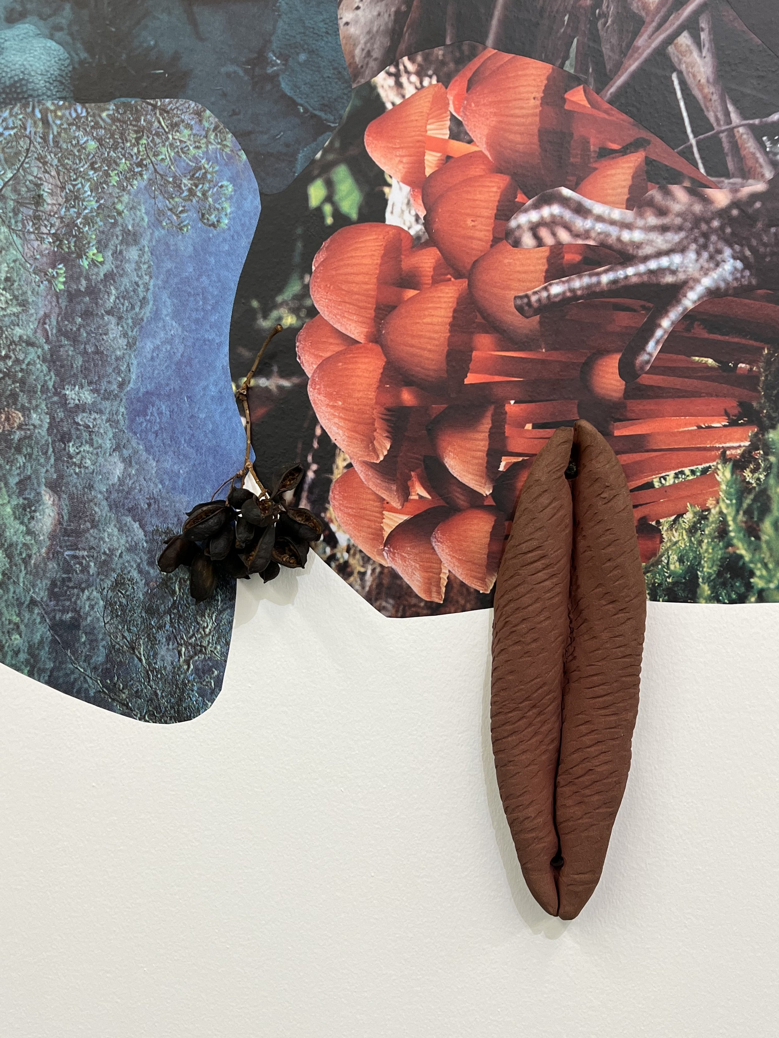 image_67220225.JPG