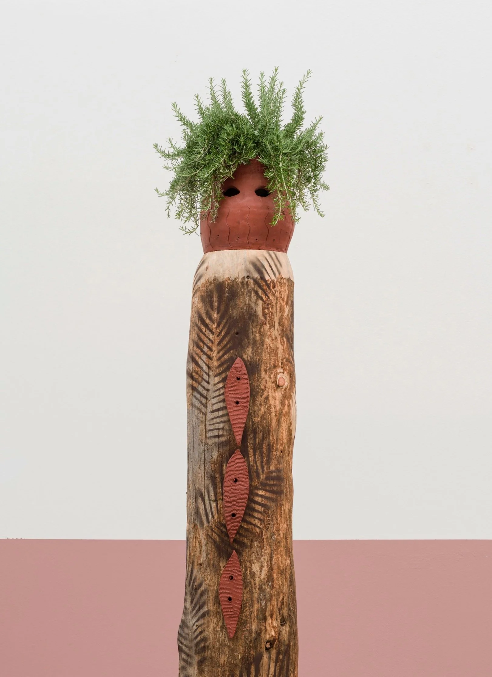 Tronco Medusa , 2025 Red stemware ceramic, live plant and acrylic on wood (Fragment of fallen tree in the forest of Ortisei) 185×26×27 cm