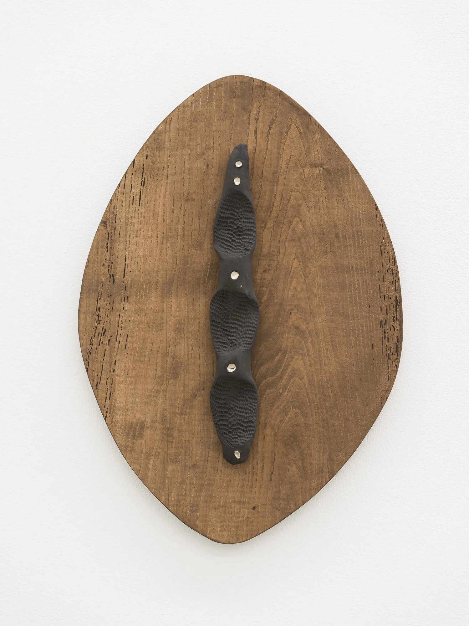 Pine Seed , 2025 Black stoneware ceramic with slip and wood 59×41×8 cm
