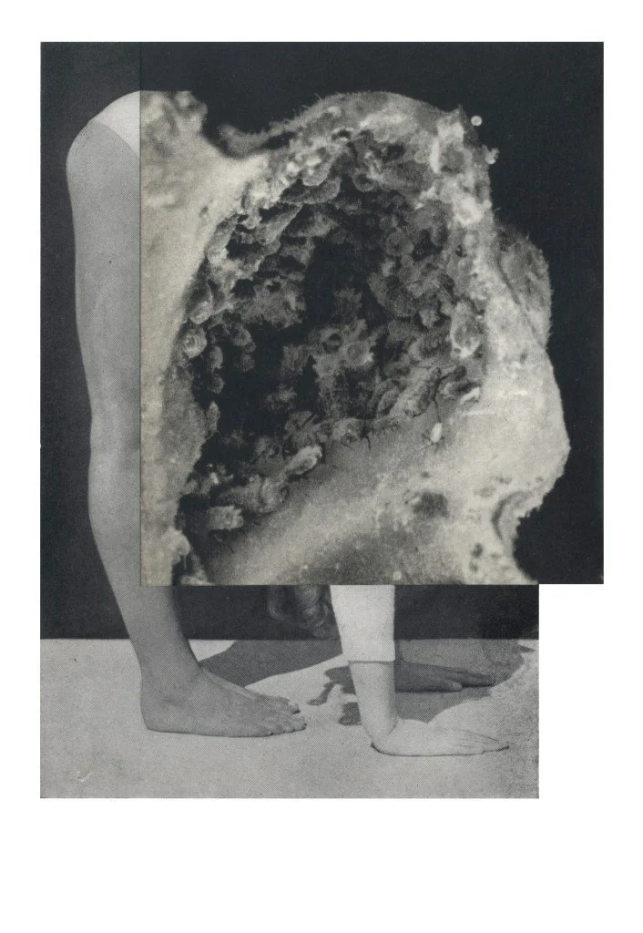 Cecilia Bonilla, Collage
