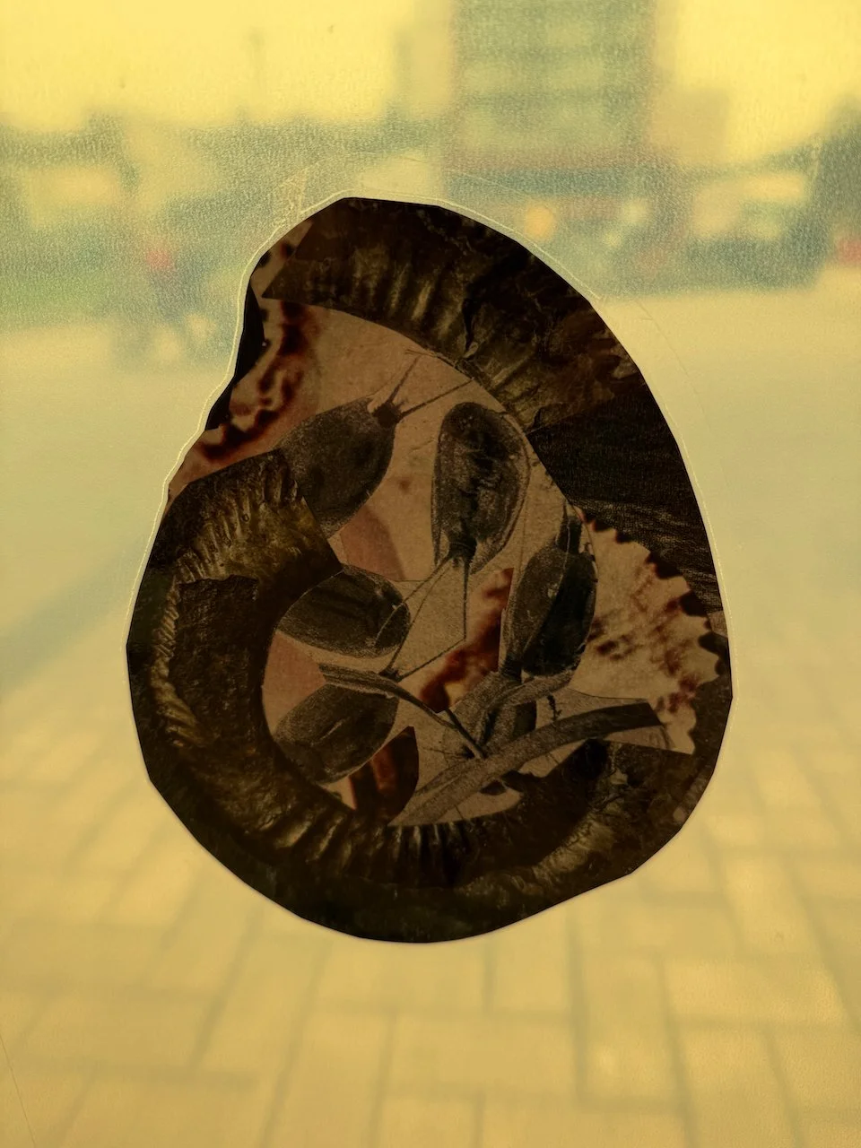 amber details - 1.jpeg