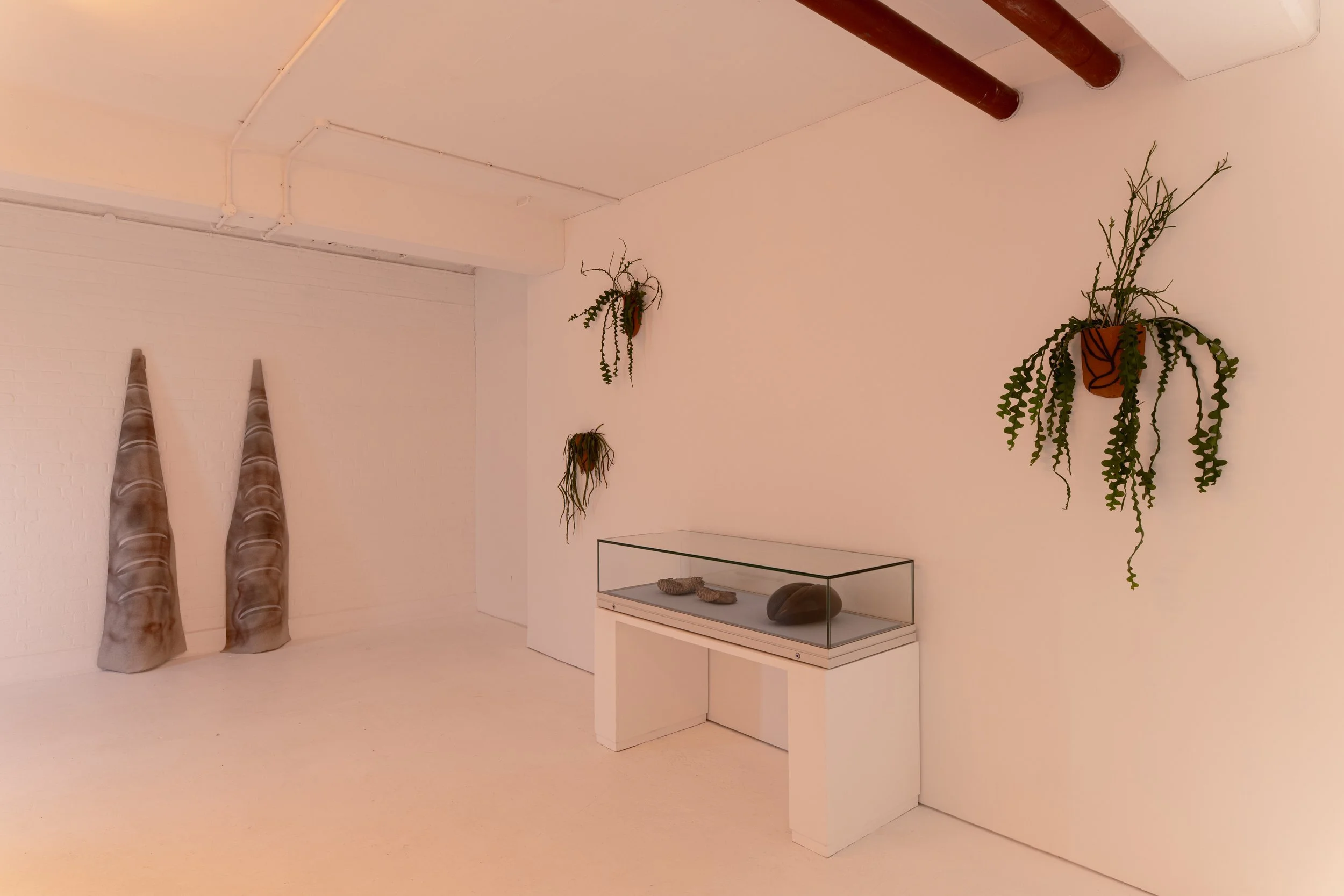 dommoore_2026_karst_pizzani_install_300dpi-2269.jpg