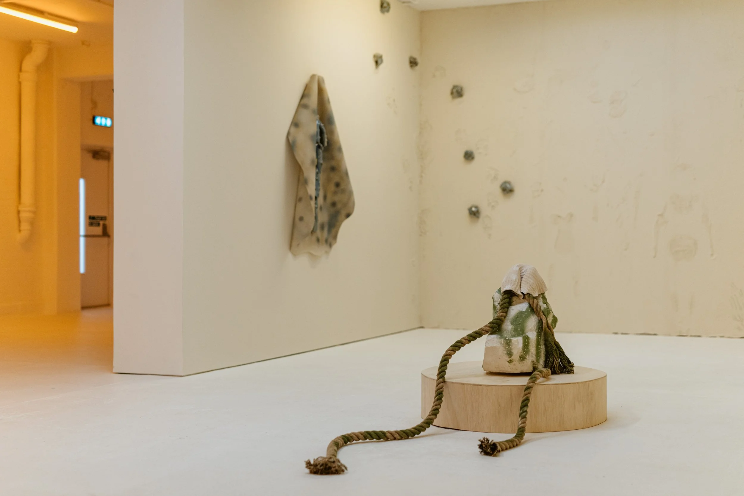 dommoore_2026_karst_pizzani_install_300dpi-5244.jpg