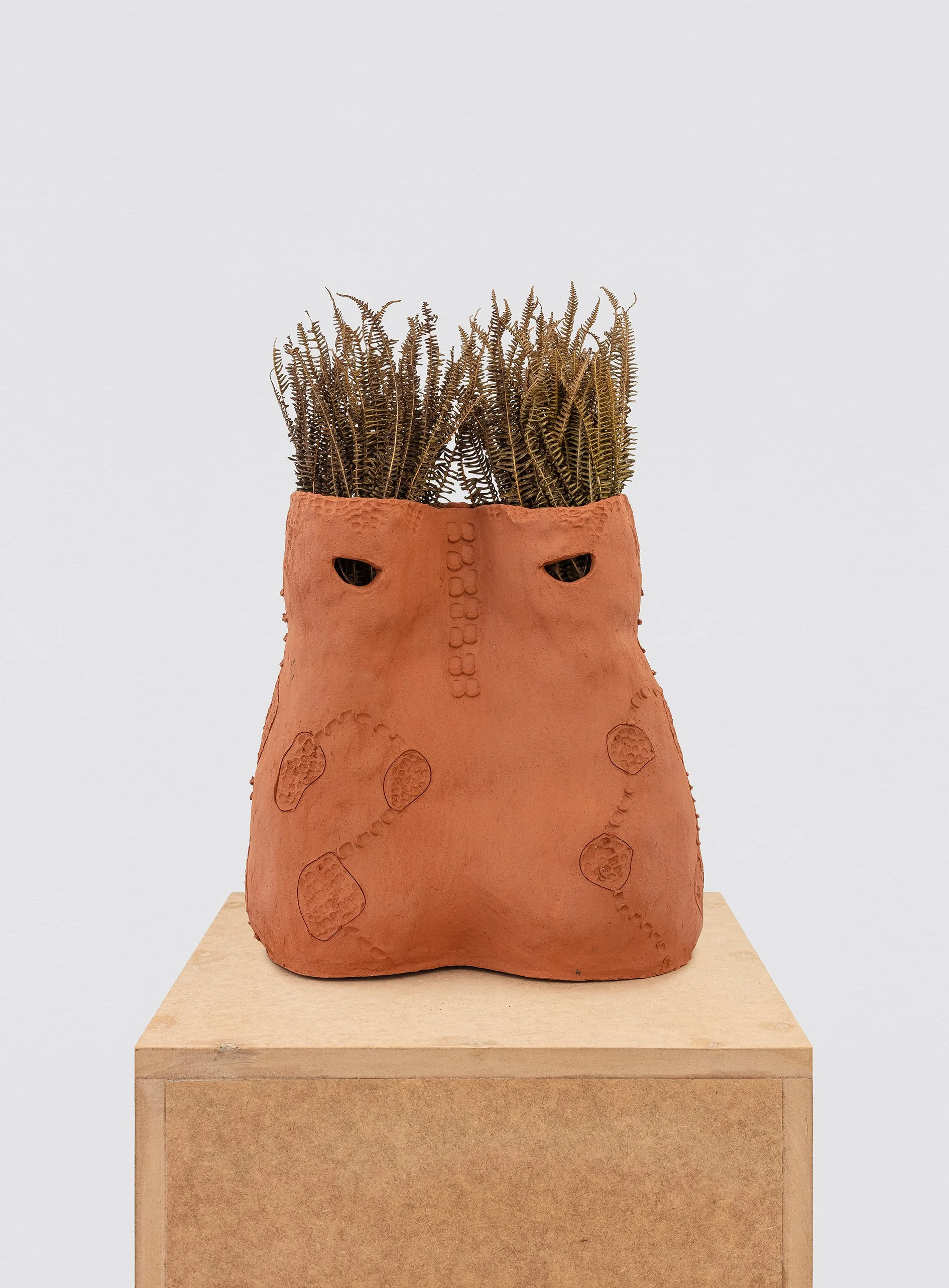  &nbsp;  Using clay and locally gathered plants, Pizzani has created “sculptures that explore the ideas of metamorphosis and protection, which are also associated with the feminine,” adds Bechelany. Among the elements in this exhibition, Lucía evokes