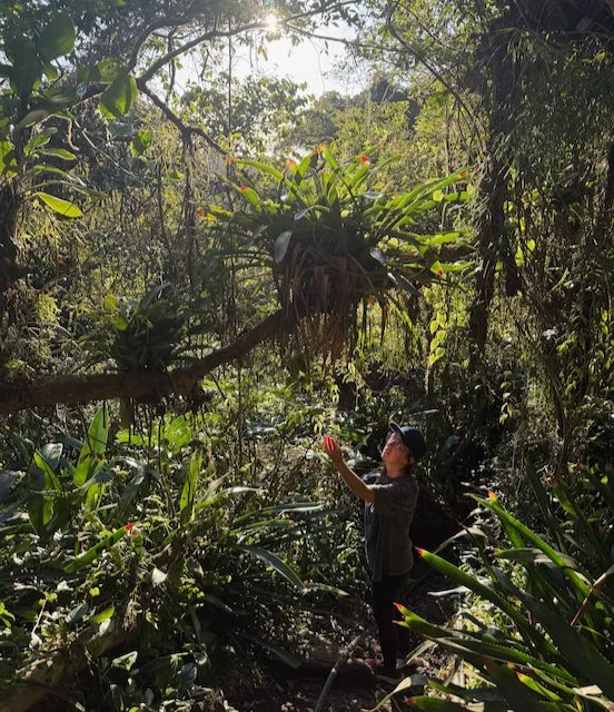  As Camila Bechelany states in her curatorial text: “As a result of this immersion in Ilhabela, she was able to develop works using local materials and broaden her references, deepening her research on life cycles and the interdependence between huma