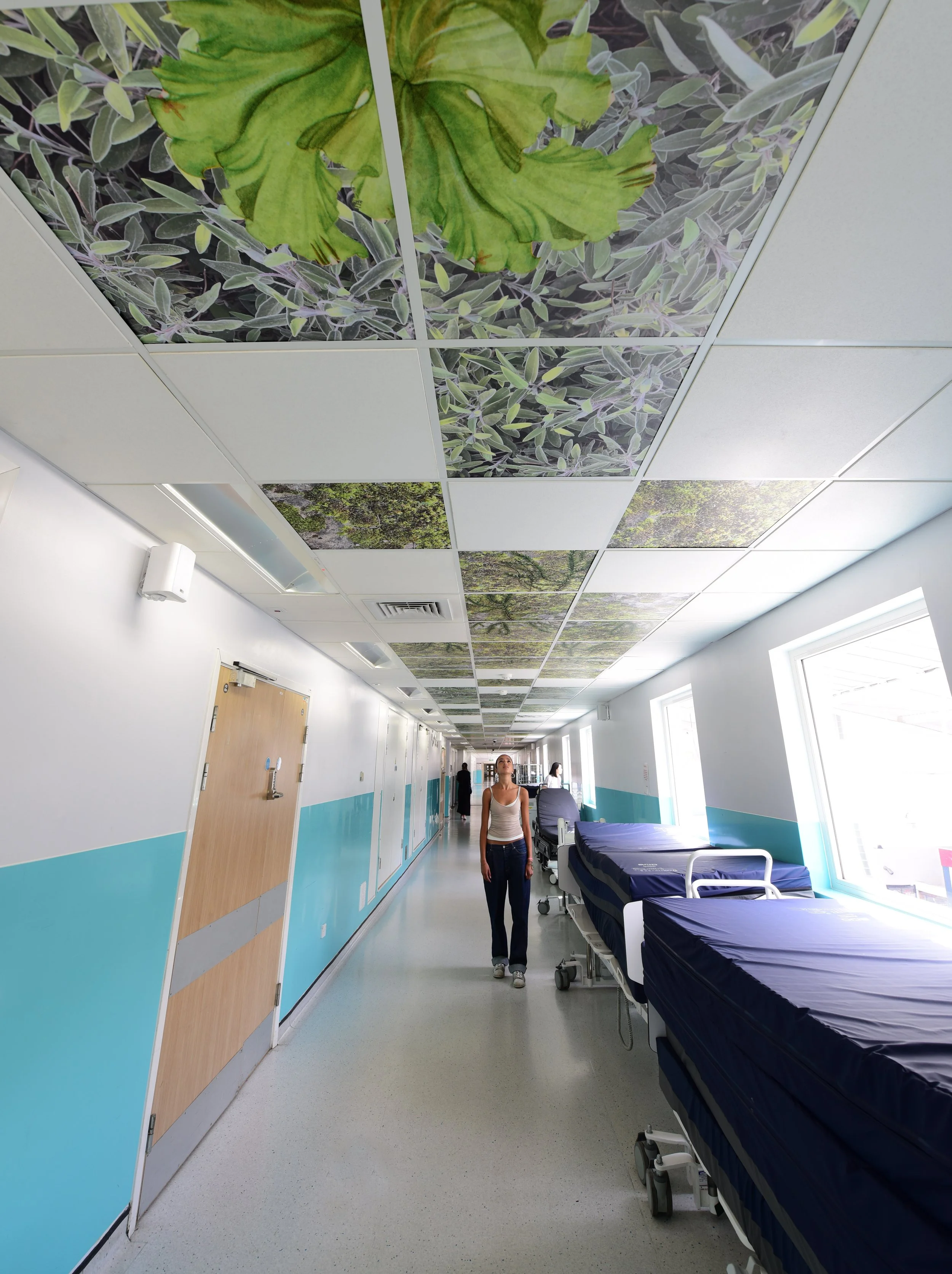 Healing flows, West Middlesex Hospital, London 