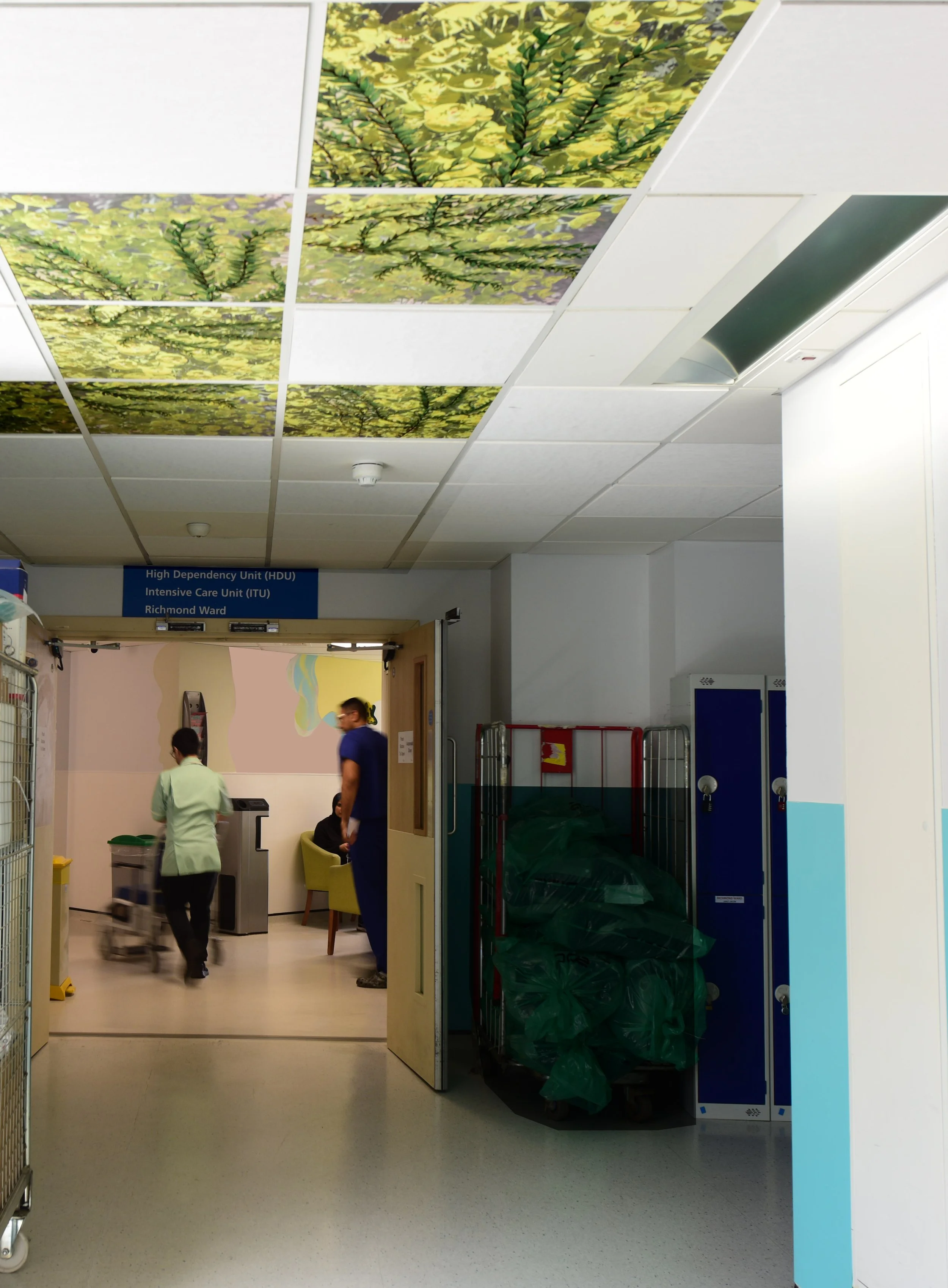 Techo y mural ICU.jpg