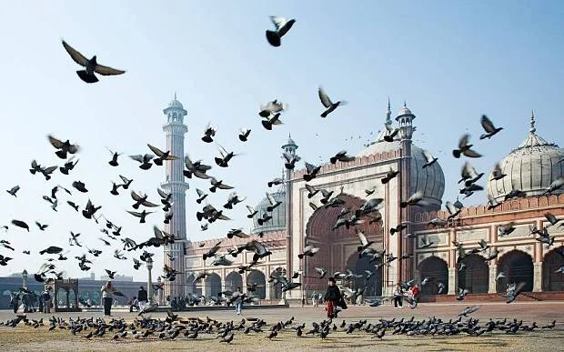 Anti-Western fundamentalism is often a response to the decline of traditional Islamic power Photo: Martin Harvey / Alamy