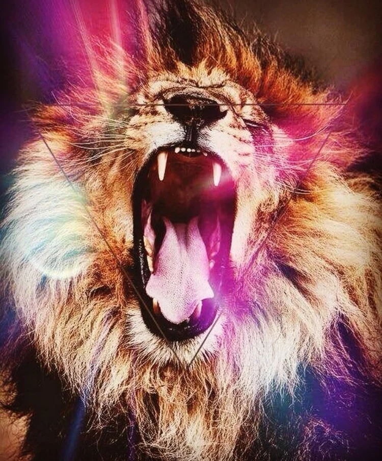 Wild Women ARISE!!! 12 Keys to Ignite Your Fierce Feminine in a World in Crisis