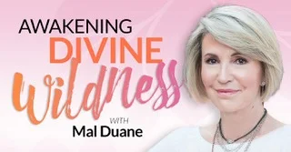 Guest Appearance on the Awakening Divine Wildness Podcast 