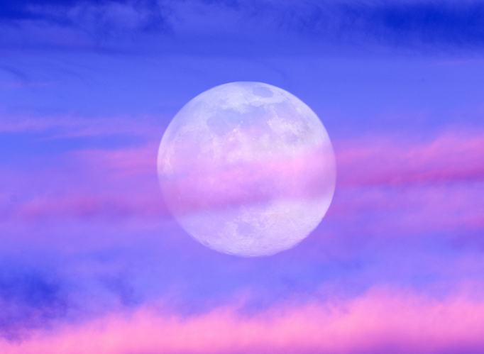 Free Virtual Fierce Feminine Activation Ceremony