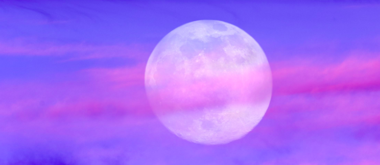 Full Moon in Pisces Virtual Ceremony