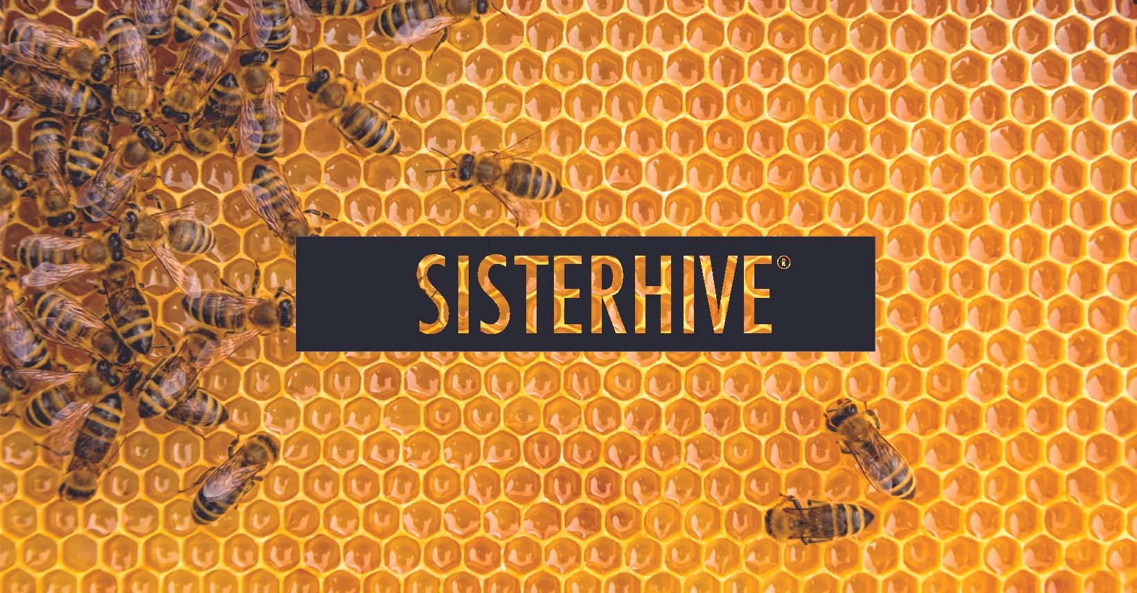 My BIGGEST announcement yet!! So thrilled to share this with you, Beloved!