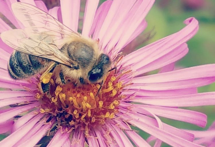 14 Sacred Practices to Start the New Year Deeply Nourished