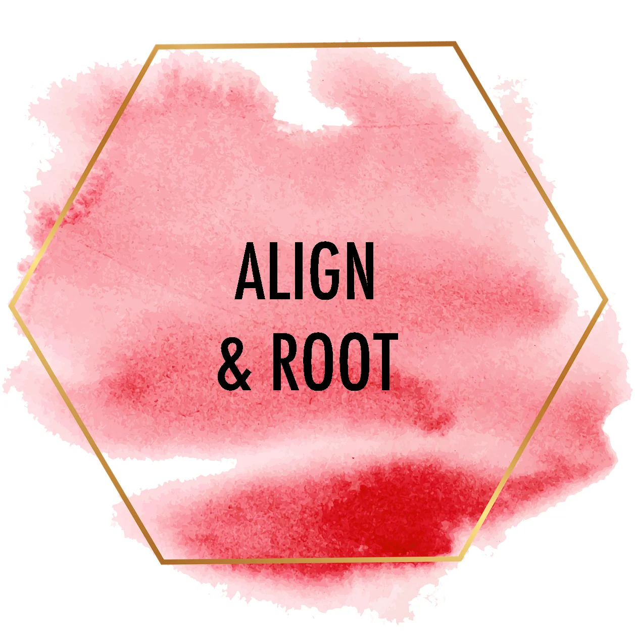 align and root image copy.jpg