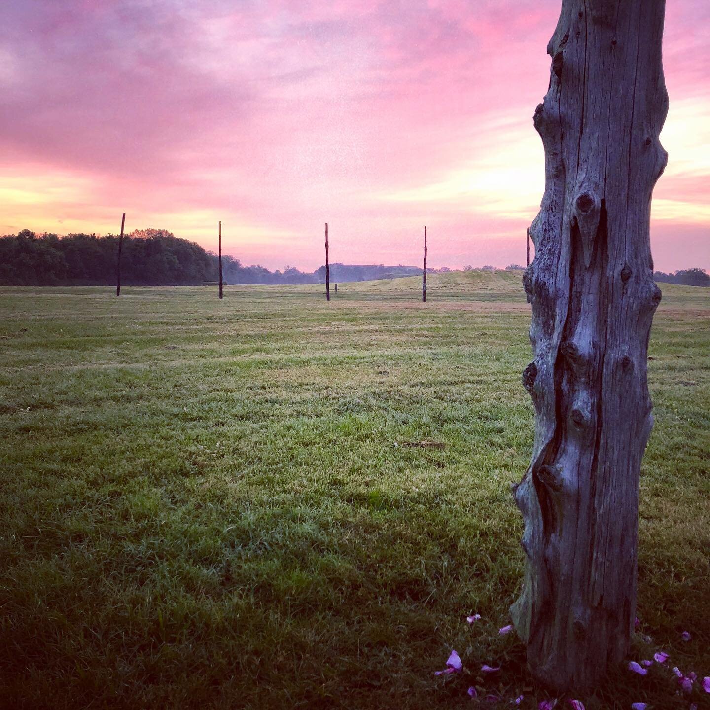 This morning I went to the Cahokia Mounds to watch the sunrise at Woodhenge to honor the Fall Equinox. It&rsquo;s an ancient replica of a sacred site that functioned similarly to Stonehenge. Uncharacteristically there was fog creating mists of Avalon