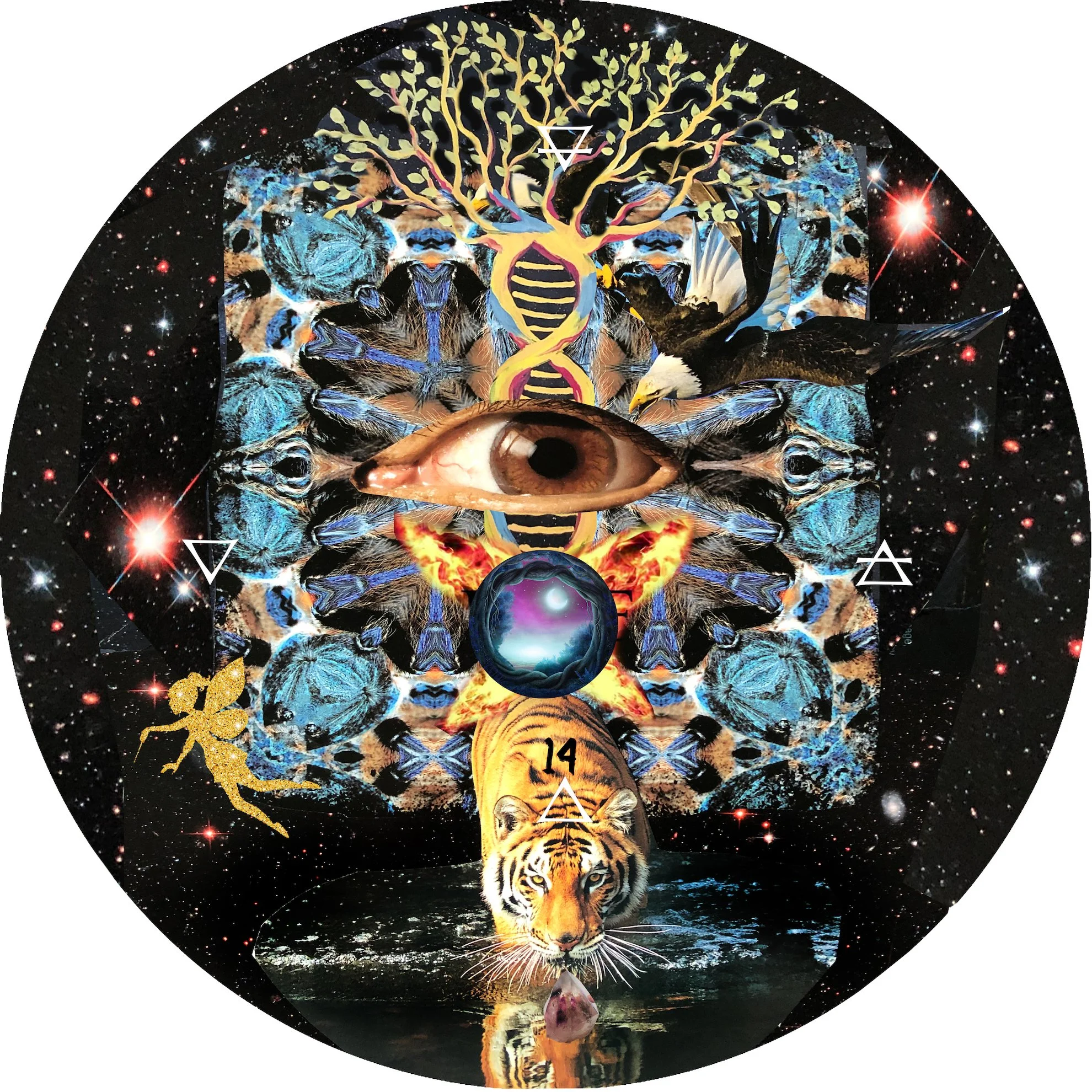14 The Secret Language of Nature Oracle Card Master (1) copy.jpg